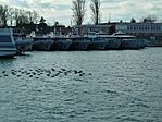 IMG_20260215_145826