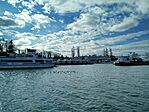 IMG_20260215_145820