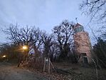 IMG_20260217_172302