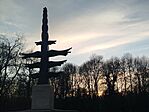 IMG_20260217_165334