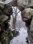 IMG_20260204_153448