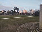 IMG_20260217_165257