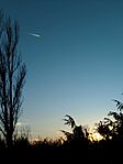 IMG_20260218_165344