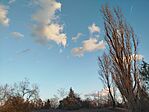 IMG_20260218_165425