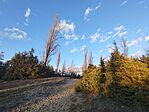 IMG_20260218_163805