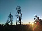 IMG_20260218_165312