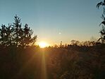 IMG_20260218_165200