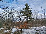 IMG_20260221_082717