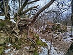 IMG_20260221_082306