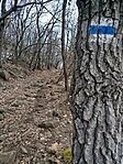 IMG_20260221_081800