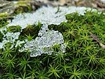 IMG_20260221_082949