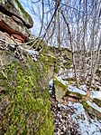 IMG_20260221_083147
