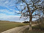 IMG_20260221_084809