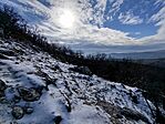 IMG_20260221_095454