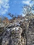 IMG_20260221_095815