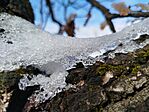 IMG_20260221_100632