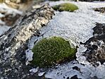 IMG_20260221_095722