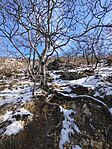 IMG_20260221_095215