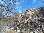 IMG_20260221_100931