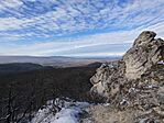 IMG_20260221_095436