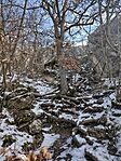 IMG_20260221_101030