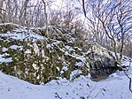 IMG_20260221_111351