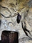 IMG_20260221_113521