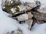 IMG_20260221_110335