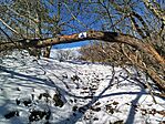 IMG_20260221_104026