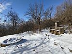 IMG_20260221_103346