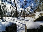 IMG_20260221_102932