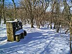 IMG_20260221_102921