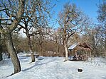 IMG_20260221_102354
