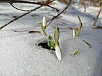 IMG_20260221_103154