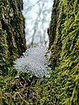 IMG_20260221_123505