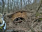IMG_20260221_123932