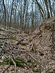 IMG_20260221_125131