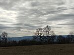 IMG_20260221_122437