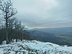 IMG_20260221_141314