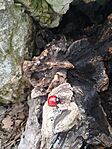 IMG_20260221_142330