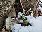 IMG_20260221_155905