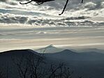 IMG_20260222_083534