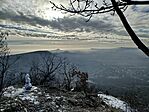 IMG_20260222_083544