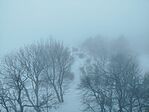 IMG_20260222_094026