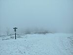 IMG_20260222_100243