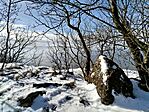 IMG_20260222_090351