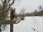 IMG_20260222_091923