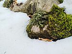 IMG_20260222_111313