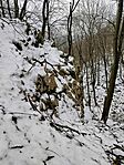 IMG_20260222_110116