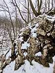 IMG_20260222_110940